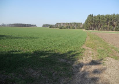 działka na sprzedaż - Sieroszewice, Parczew