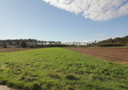 działka na sprzedaż - Ostrów Wielkopolski (gw), Gorzyce Wielkie