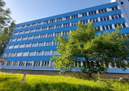lokal na wynajem - Ostrów Wielkopolski, Centrum