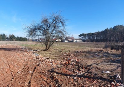 działka na sprzedaż - Przygodzice, Janków Przygodzki